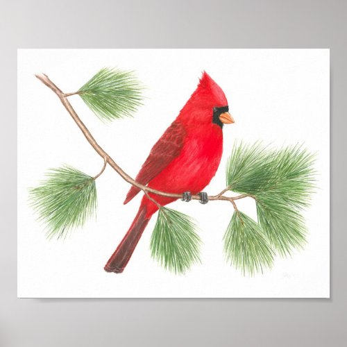 Northern Cardinal Fine Art Print