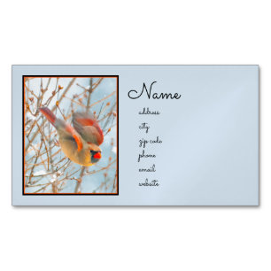 Northern Cardinal Flying - Original Photograph Business Card Magnet