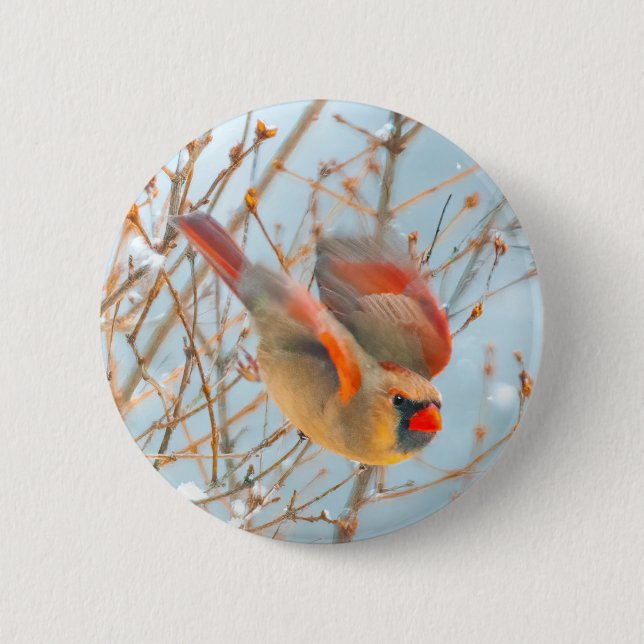 Northern Cardinal Flying - Original Photograph Button (Front)