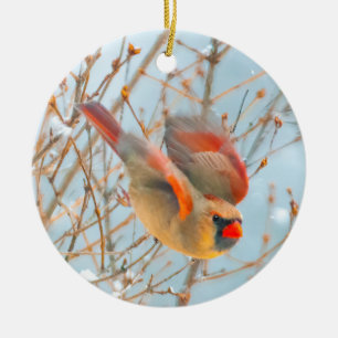 Northern Cardinal Flying - Original Photograph Ceramic Ornament