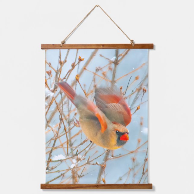 Northern Cardinal Flying - Original Photograph Hanging Tapestry (Front)