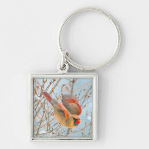 Northern Cardinal Flying - Original Photograph Keychain