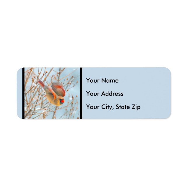 Northern Cardinal Flying - Original Photograph Label (Front)