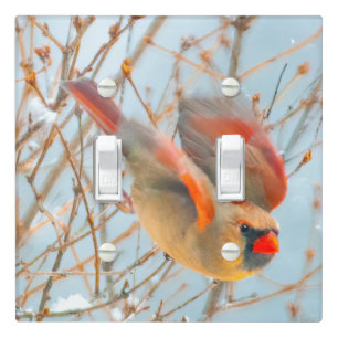 Northern Cardinal Flying - Original Photograph Light Switch Cover