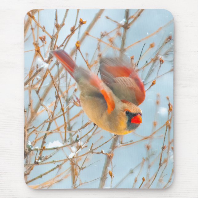 Northern Cardinal Flying - Original Photograph Mouse Pad (Front)