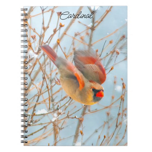 Northern Cardinal Flying _ Original Photograph Notebook