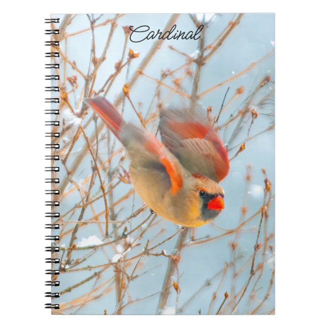 Northern Cardinal Flying - Original Photograph Notebook (Front)