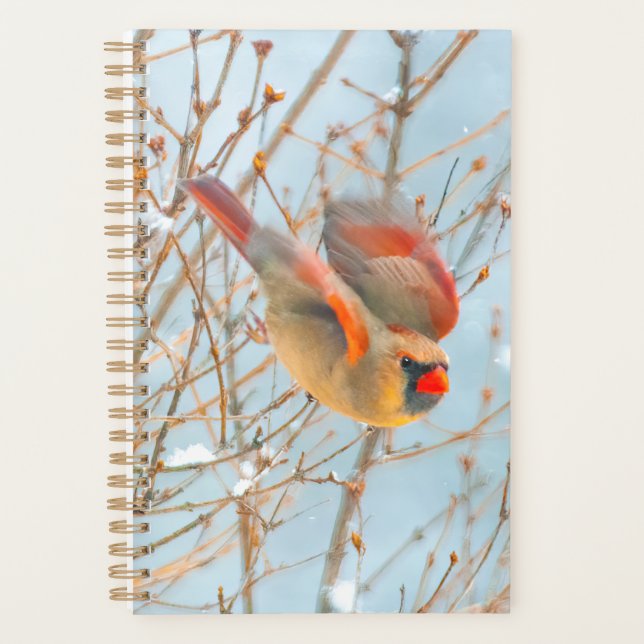 Northern Cardinal Flying - Original Photograph Planner (Front)