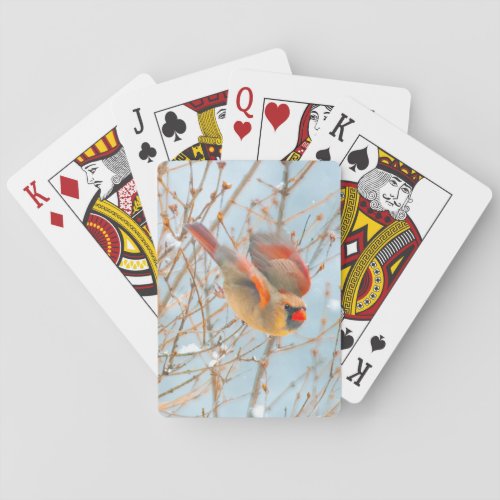 Northern Cardinal Flying _ Original Photograph Playing Cards