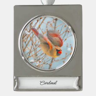 Northern Cardinal Flying - Original Photograph Silver Plated Banner Ornament