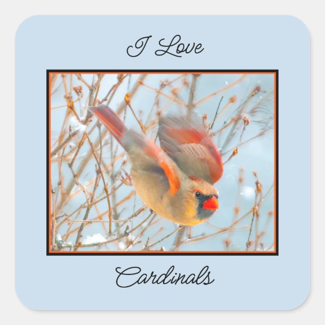 Northern Cardinal Flying - Original Photograph Square Sticker (Front)