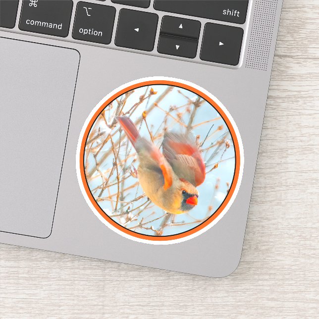 Northern Cardinal Flying - Original Photograph Sticker (Detail)