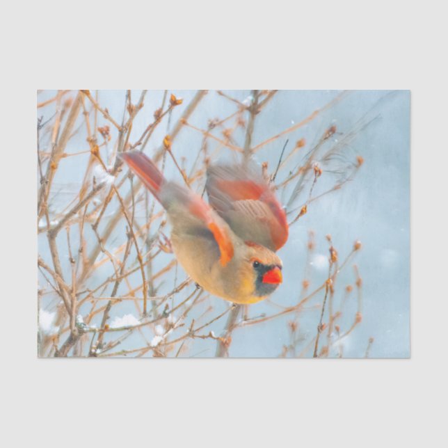 Northern Cardinal Flying - Original Photograph Tissue Paper (Front)
