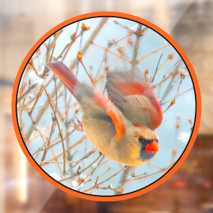 Northern Cardinal Flying - Original Photograph Window Cling