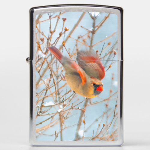 Northern Cardinal Flying _ Original Photograph Zippo Lighter