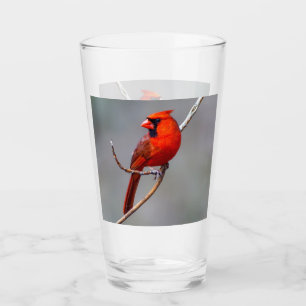 Northern Cardinal Glass Tumbler