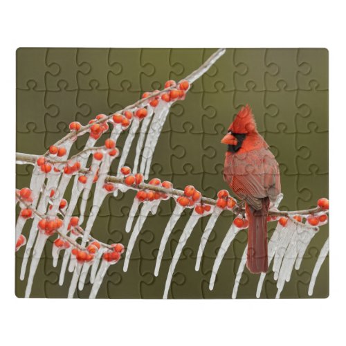 Northern Cardinal  Hill Country Texas Jigsaw Puzzle