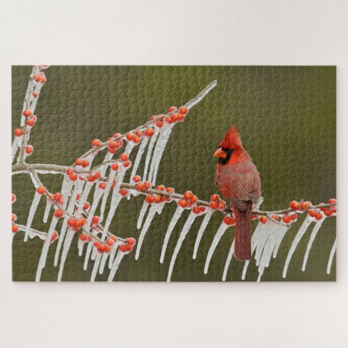 Northern Cardinal  Hill Country Texas Jigsaw Puzzle