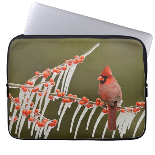 Northern Cardinal  Hill Country Texas Laptop Sleeve