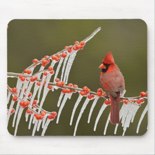 Northern Cardinal  Hill Country Texas Mouse Pad