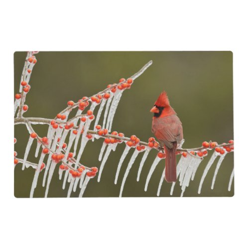 Northern Cardinal  Hill Country Texas Placemat