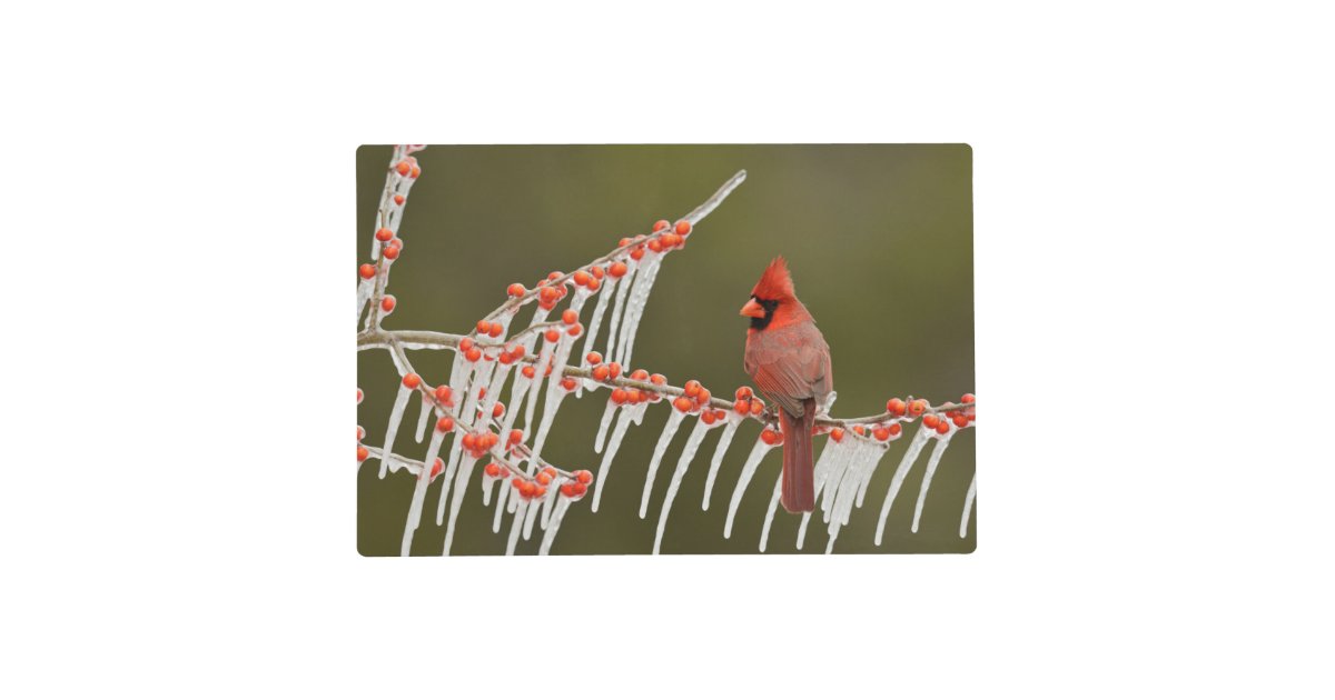 Cardinals Red Glitter Customizable Faux Leather Earrings 