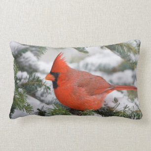 Northern Cardinal in Balsam fir tree in winter Lumbar Pillow