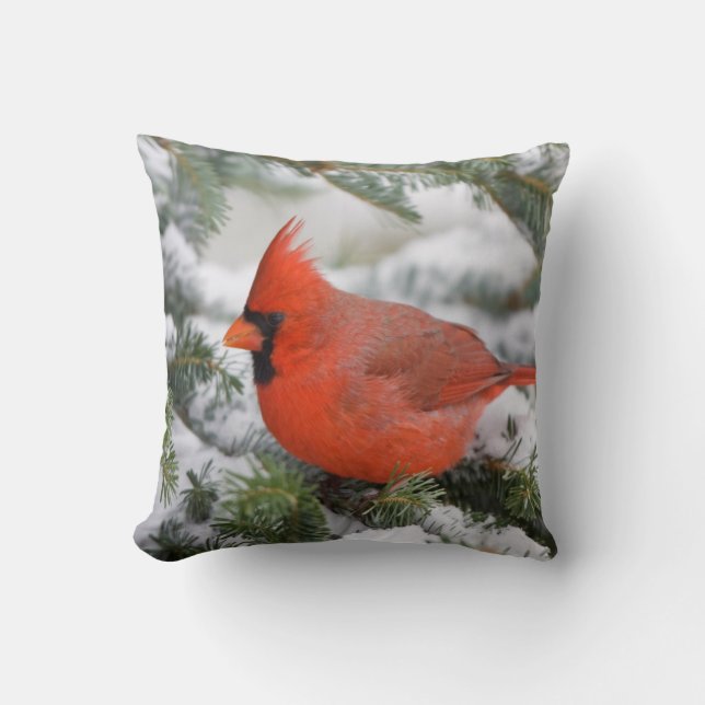 Northern Cardinal in Balsam fir tree in winter Throw Pillow (Front)