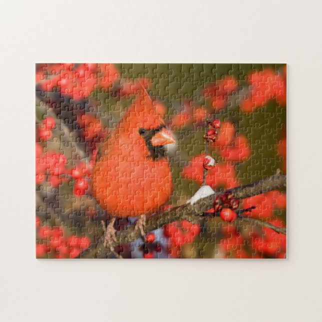 Northern Cardinal in Common Winterberry Jigsaw Puzzle (Horizontal)