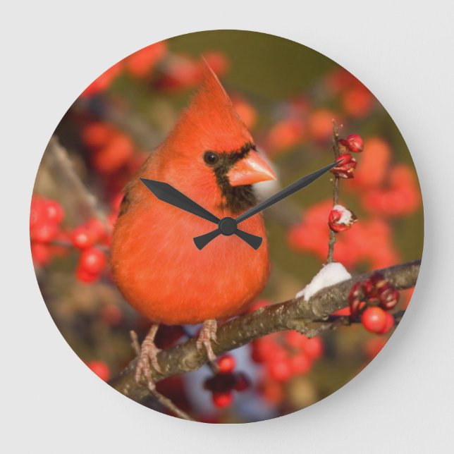Northern Cardinal in Common Winterberry Large Clock (Front)