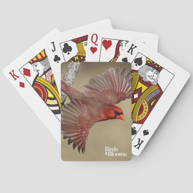 Northern Cardinal In Flight Poker Cards (Back)