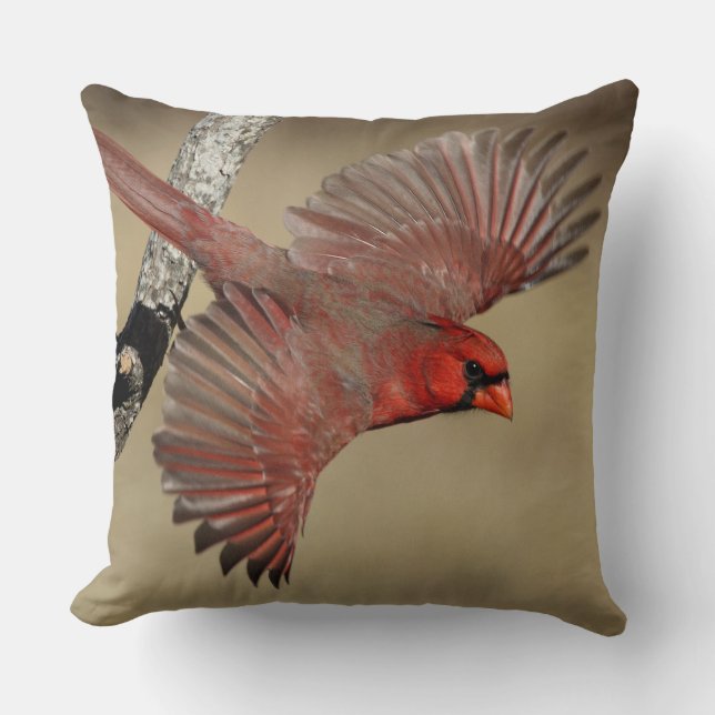 Northern Cardinal In Flight Throw Pillow (Front)