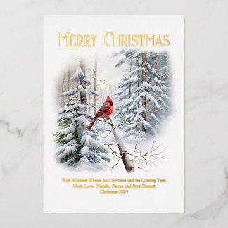 Northern Cardinal in Snowy Woods Foil Holiday Card