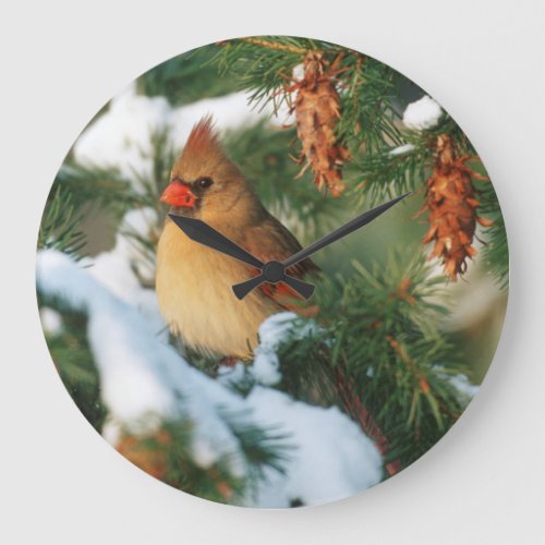 Northern Cardinal in tree Illinois Large Clock