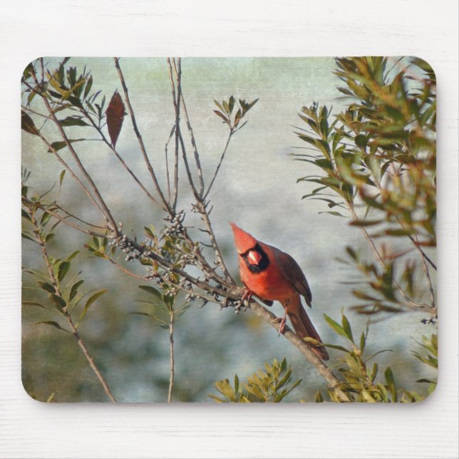 Northern Cardinal in Wax Myrtle Mouse Pad (Front)