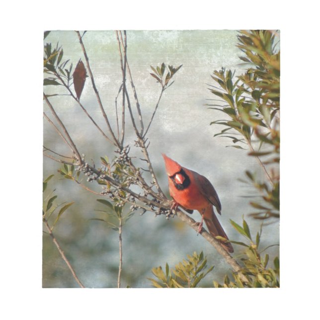 Northern Cardinal in Wax Myrtle Notepad (Front)