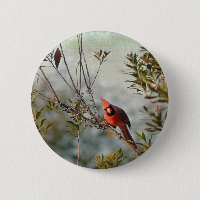 Northern Cardinal in Wax Myrtle Pinback Button (Front)