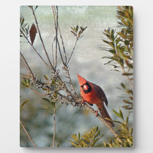 Northern Cardinal in Wax Myrtle Plaque (Front)