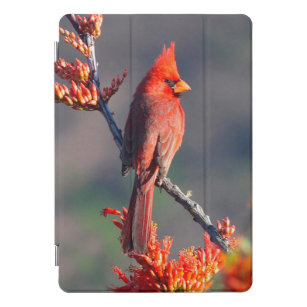 Northern Cardinal iPad Pro Cover