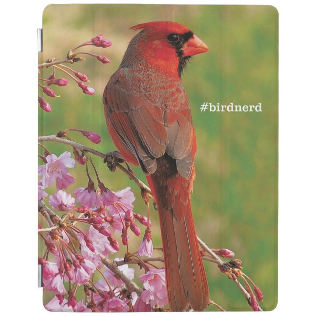 Northern Cardinal iPad Smart Cover (Front)
