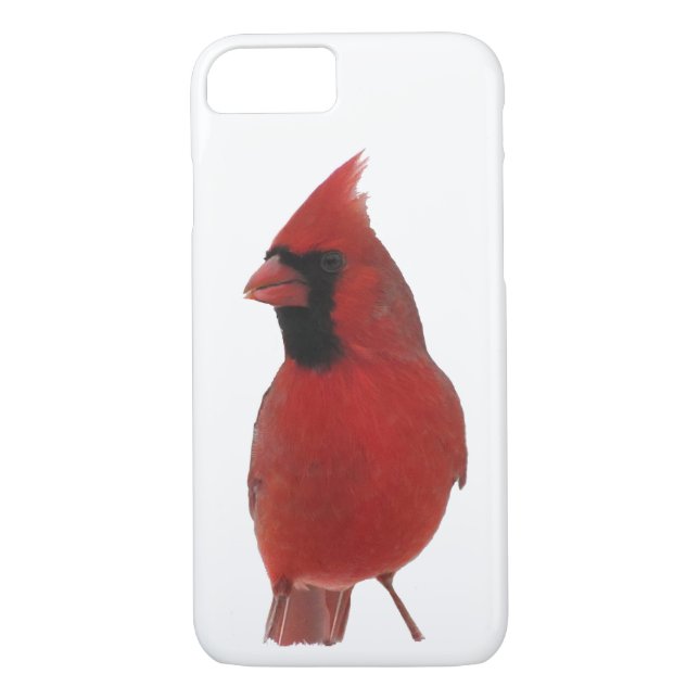 Northern Cardinal iPhone 8/7  Case (Back)