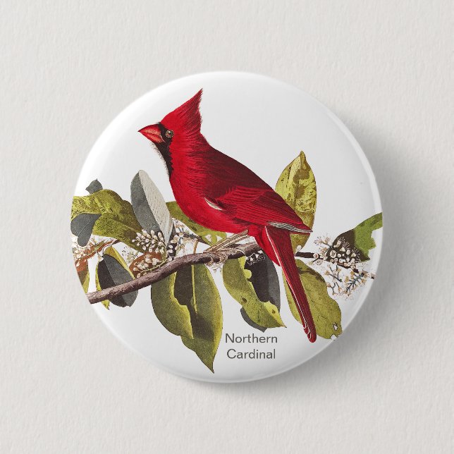 Northern Cardinal, John James Audubon, Red Bird, Button (Front)