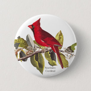Northern Cardinal, John James Audubon, Red Bird, Button