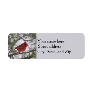 Northern cardinal label