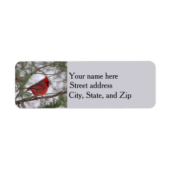 Northern Cardinal Label by backyardwonders at Zazzle