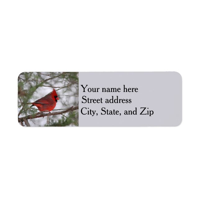 Northern cardinal label (Front)