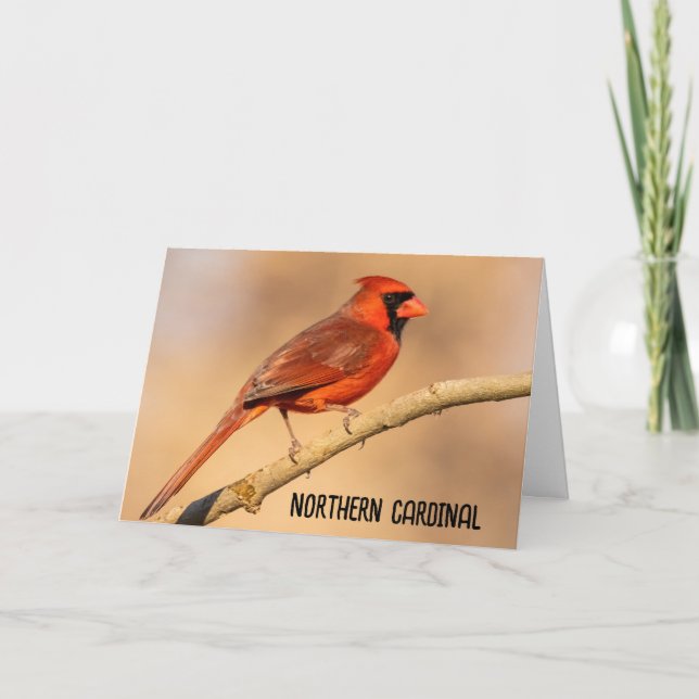 Northern Cardinal Letterpress Thank You Card (Front)