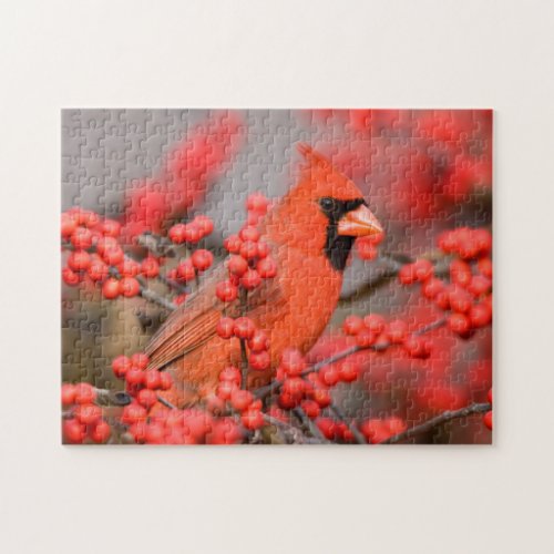 Northern Cardinal male on Common Winterberry Jigsaw Puzzle