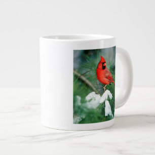 Northern Cardinal male on tree, IL Giant Coffee Mug