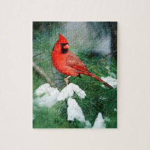 Northern Cardinal male on tree, IL Jigsaw Puzzle